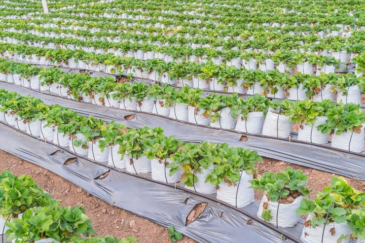 Agriculture applications